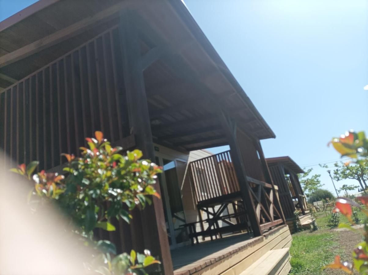 La Masia Bg Parc Sant Pere Pescador Dış mekan fotoğraf